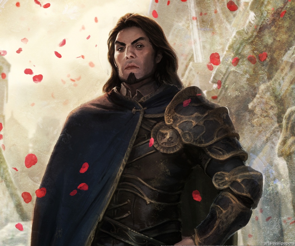 Рыцарь обои