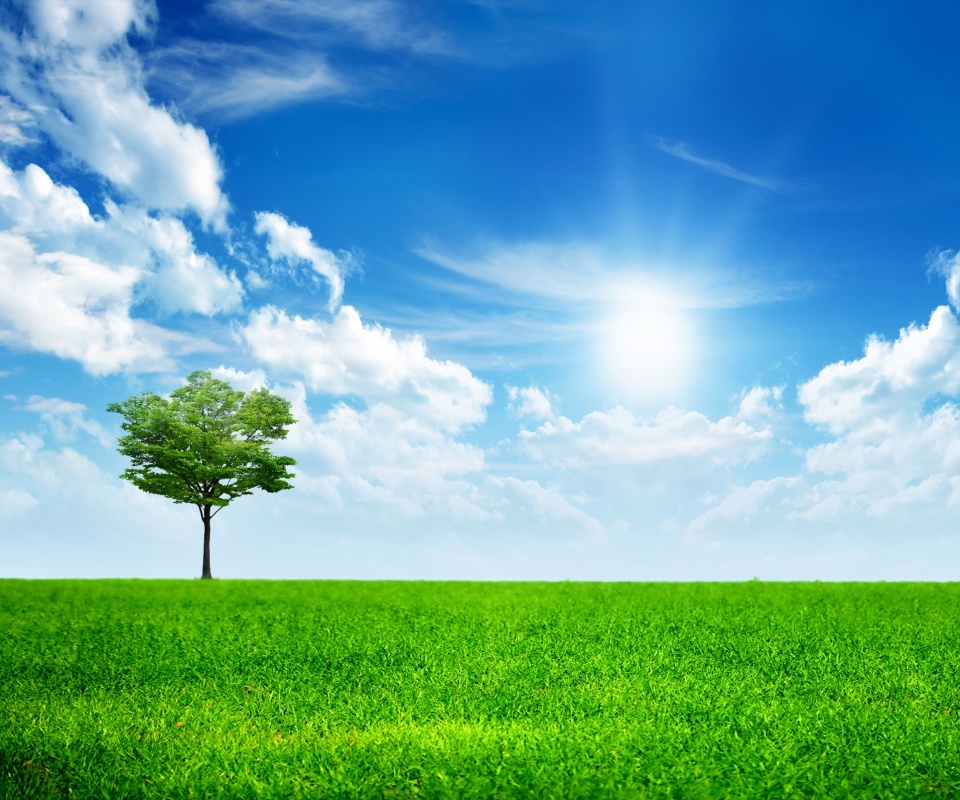 Один в целом мире обои