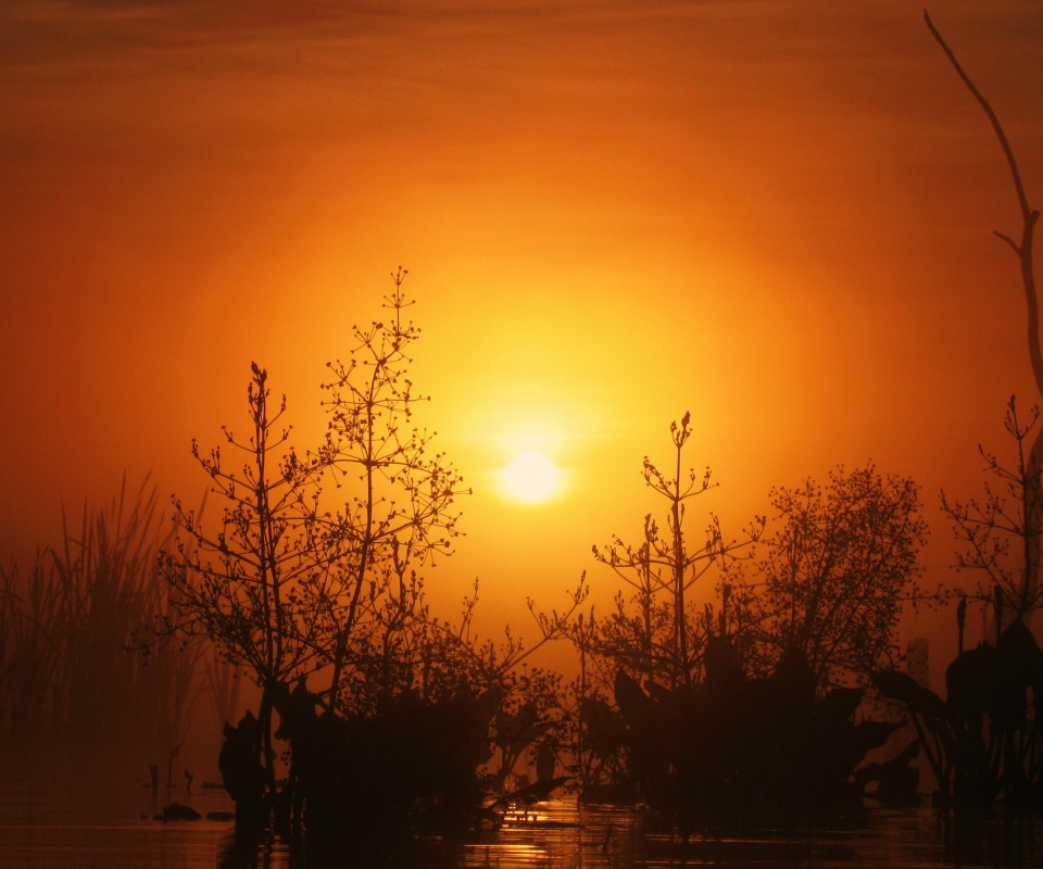 Доисторическое утро обои