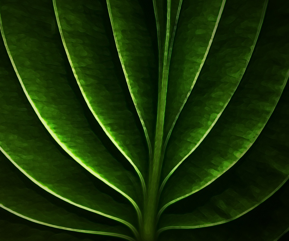 Неоновый лист обои