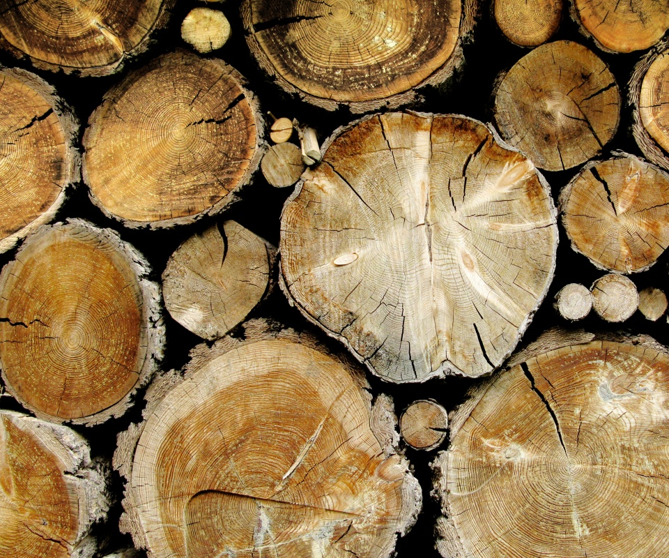 Древесный спил обои
