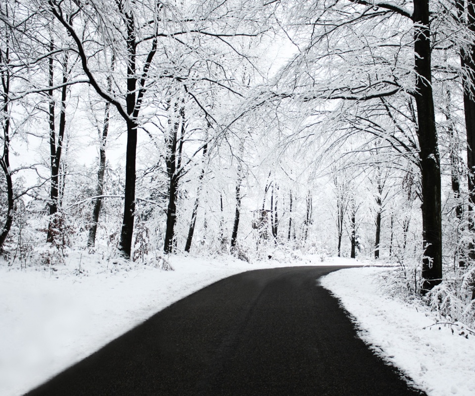 Дорога в зимнем лесу обои