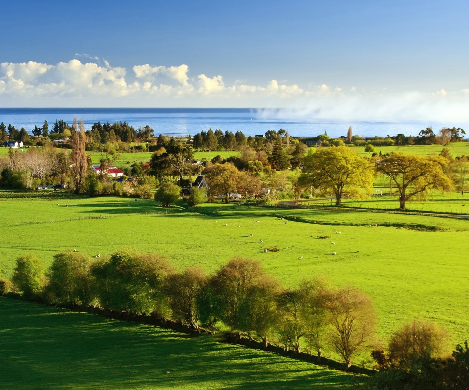 Сельская природа обои