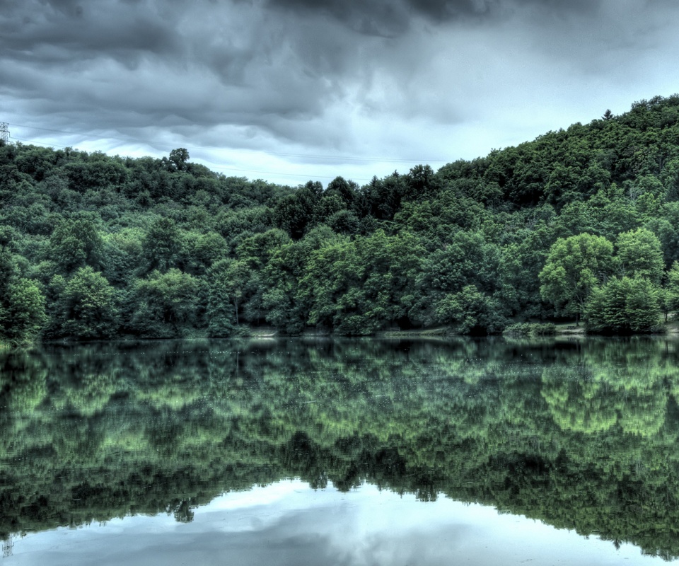 Лесной берег обои