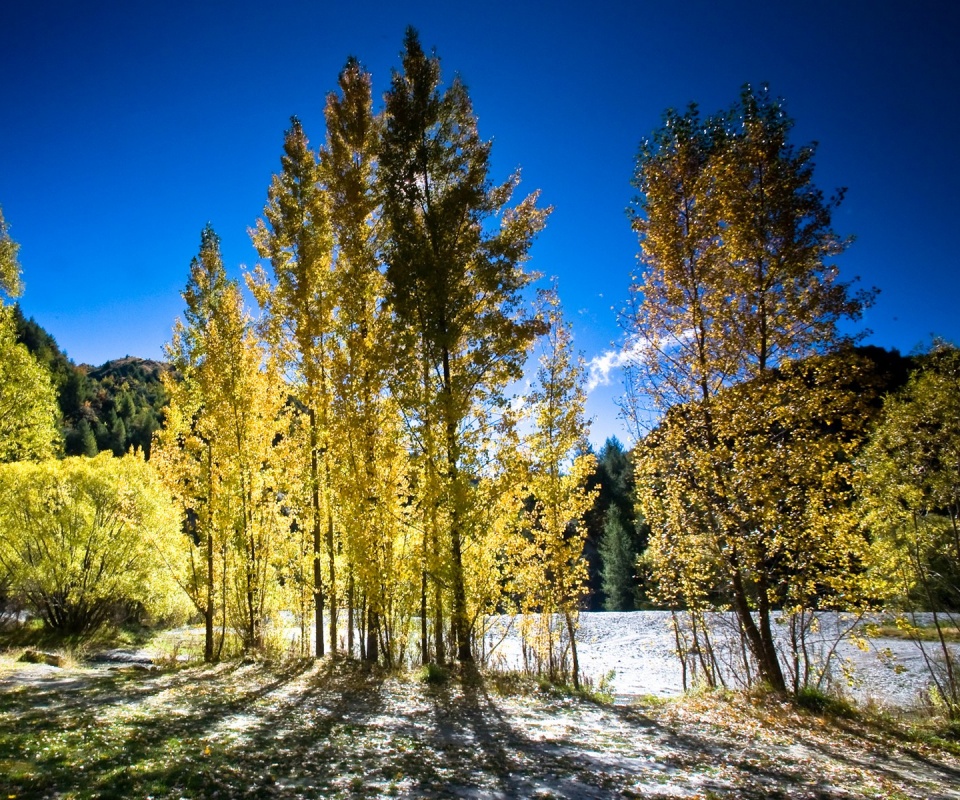 Осень в Новой Зеландии обои