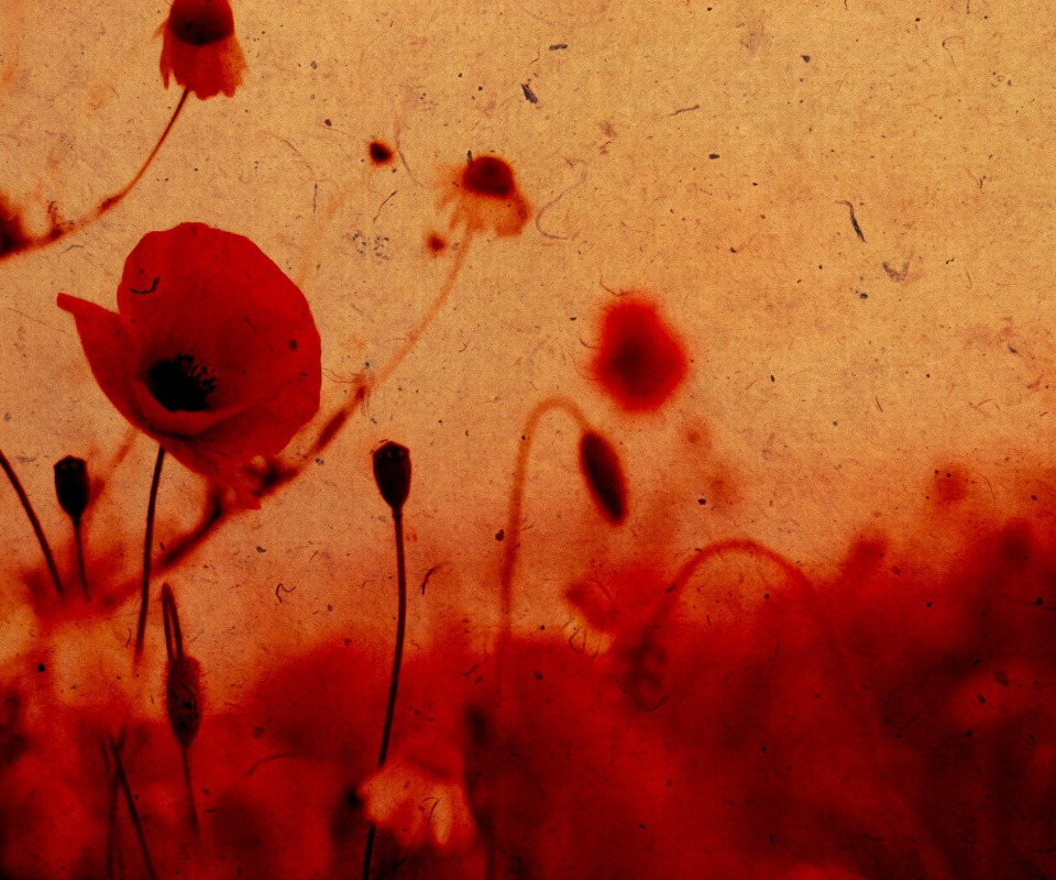 Кровавые цветы в стиле ретро обои