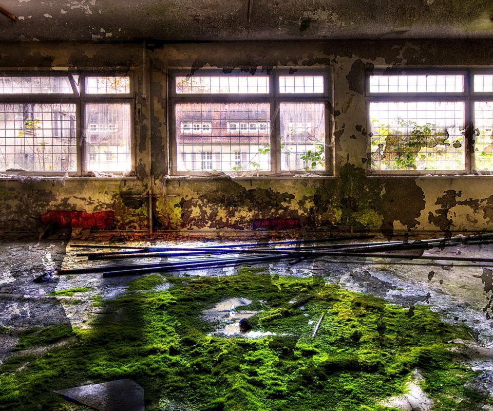 Запустение обои