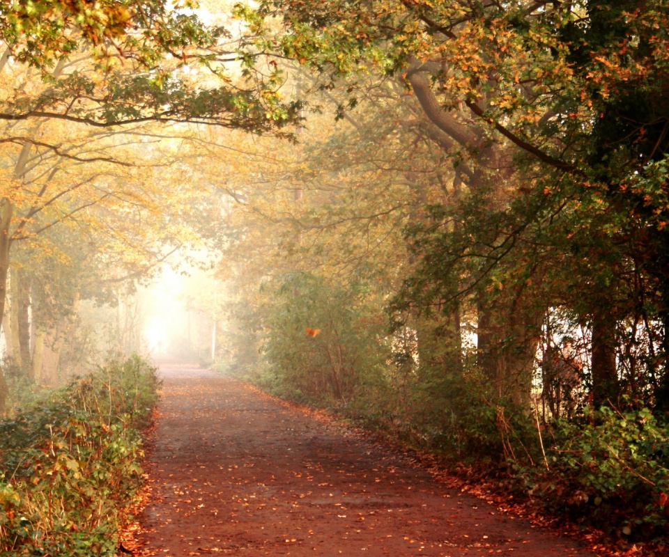 Парковая дорожка обои