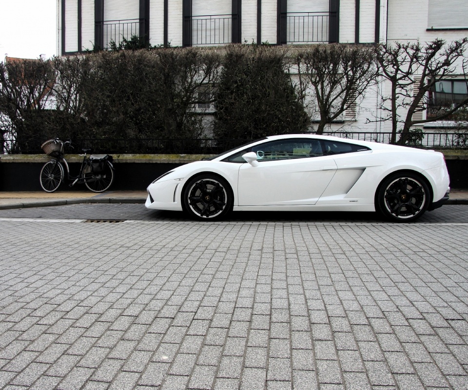 Белый Lamborghini обои