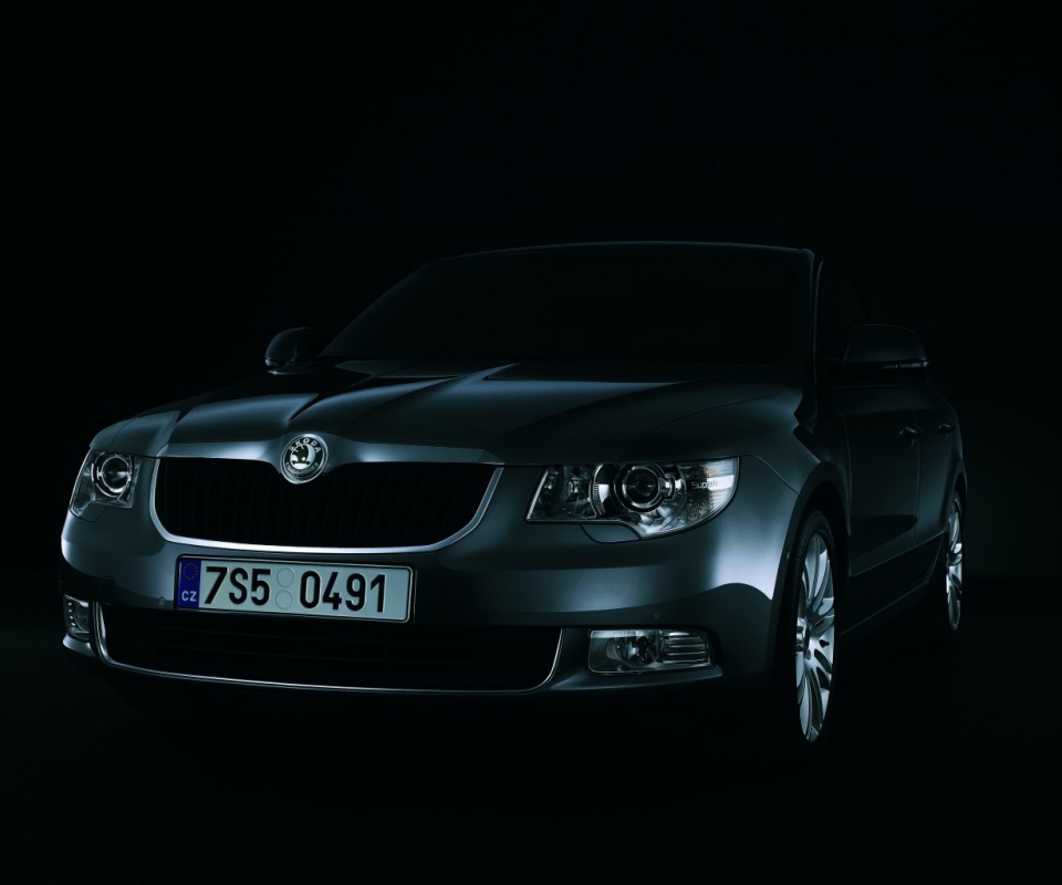 Шкода в темноте обои