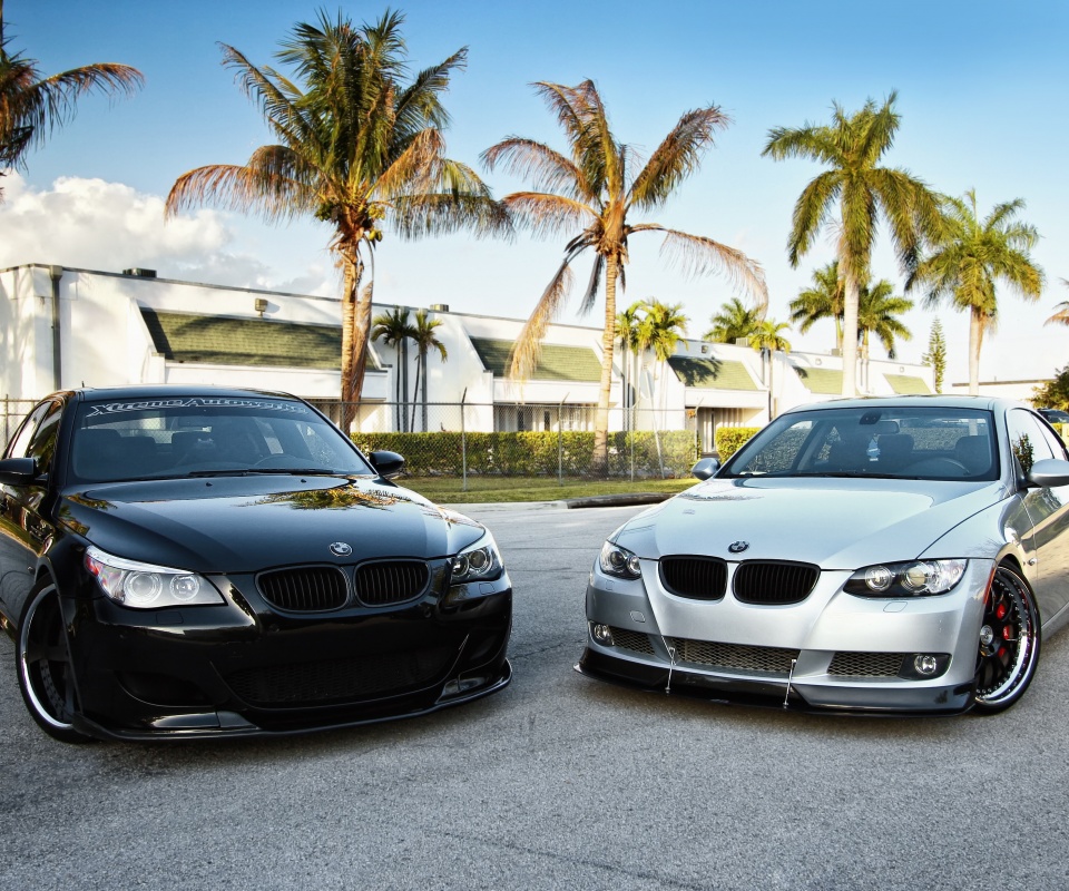 Две БМВ обои