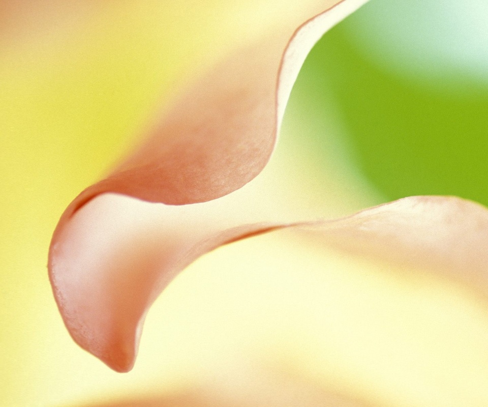 Оттенки природы обои