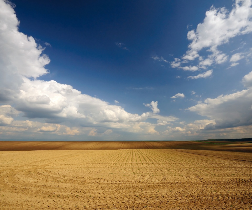 Незасеянное поле обои
