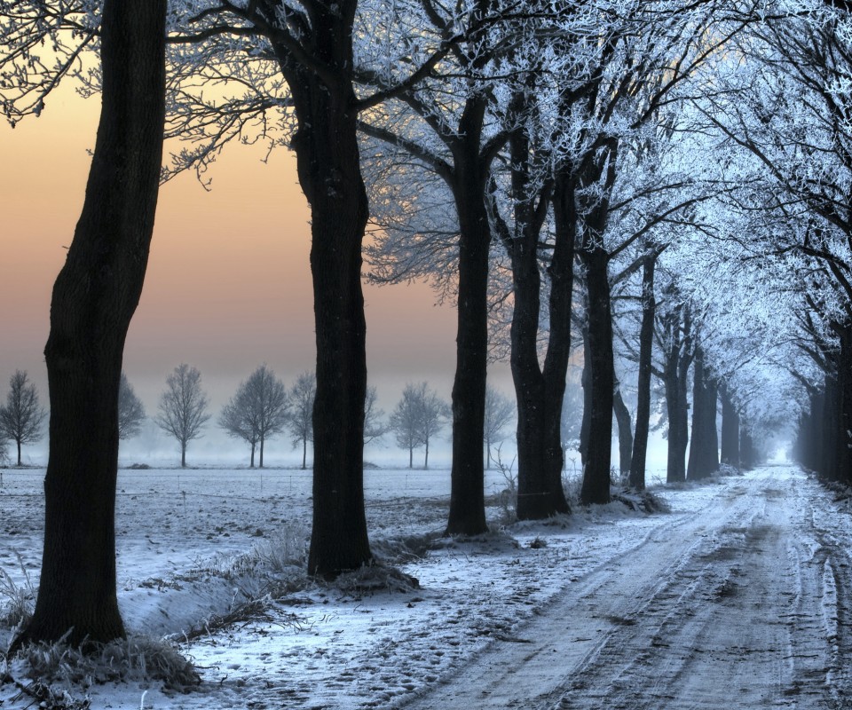 Морозное утро обои