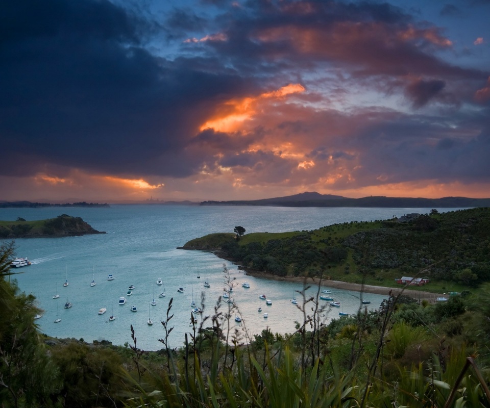 Waiheke Island, New Zealand обои