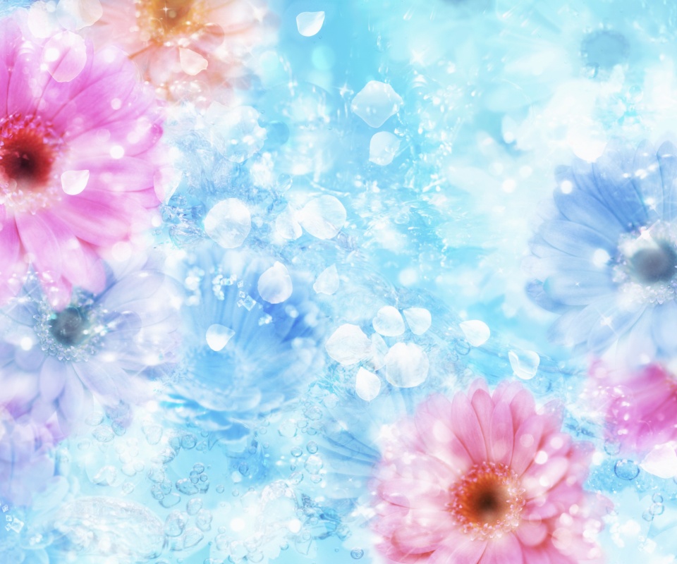 Цветочная эйфория обои