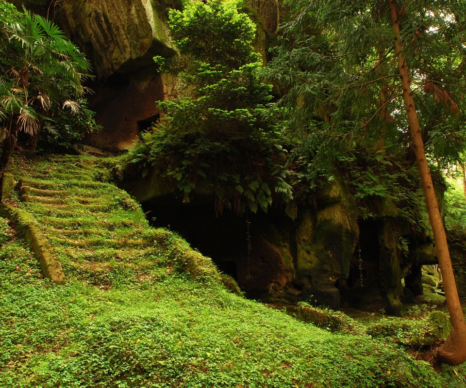 Старинный лесной храм обои