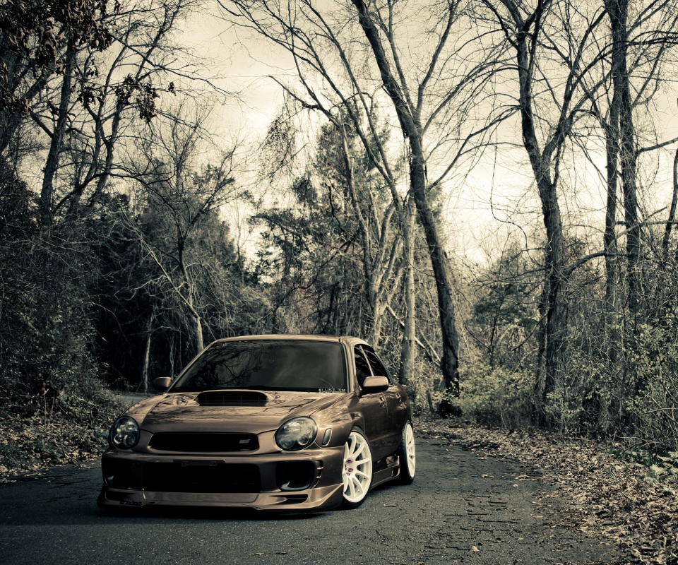 Субару Импреза на лесной дороге обои