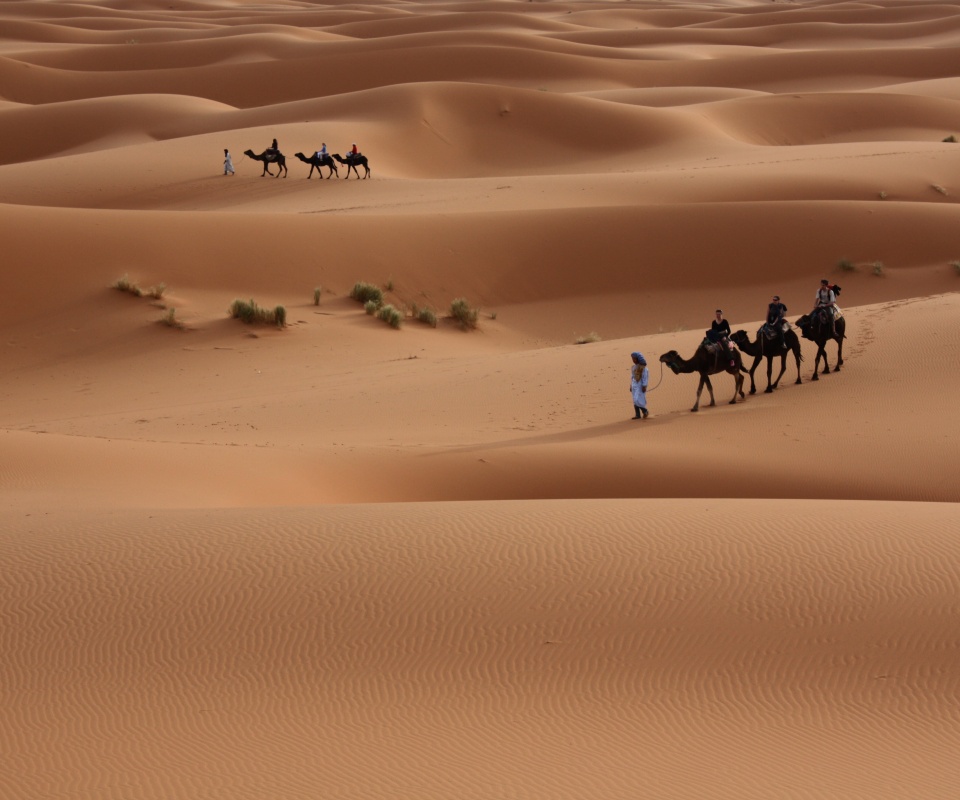 Караваны пустыни обои