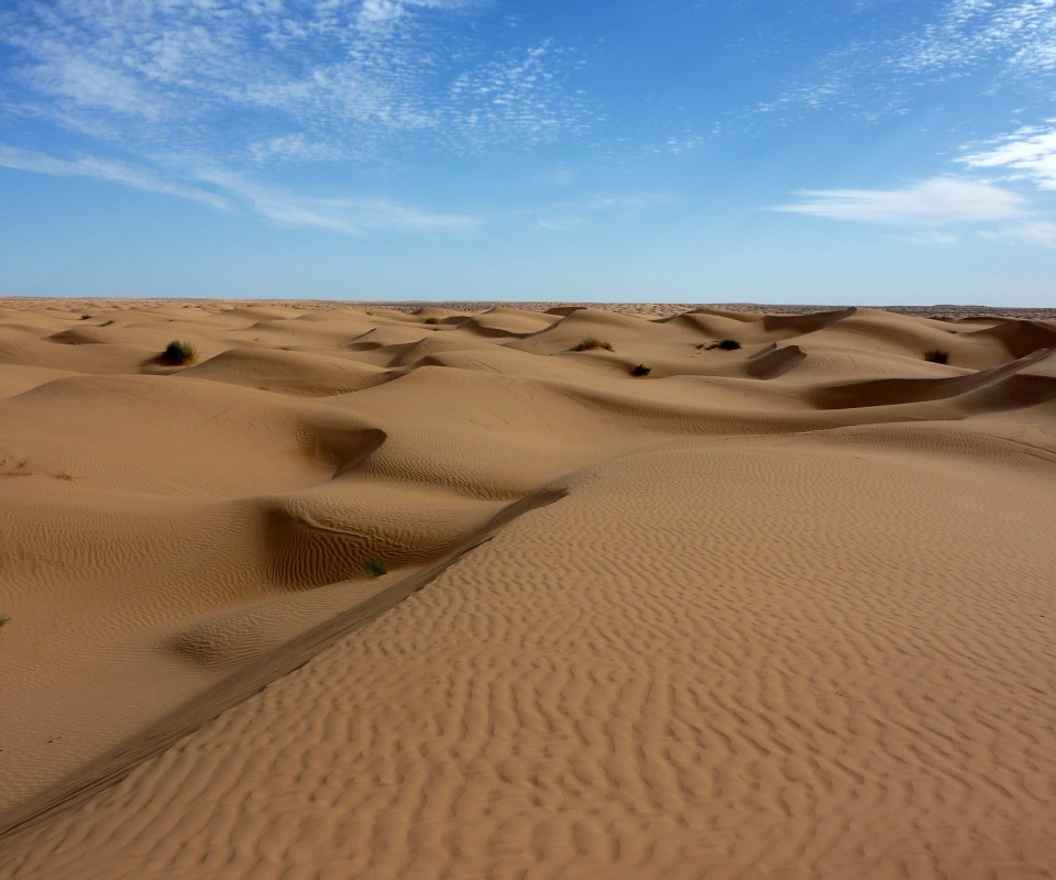 Пустыня до самого горизонта обои