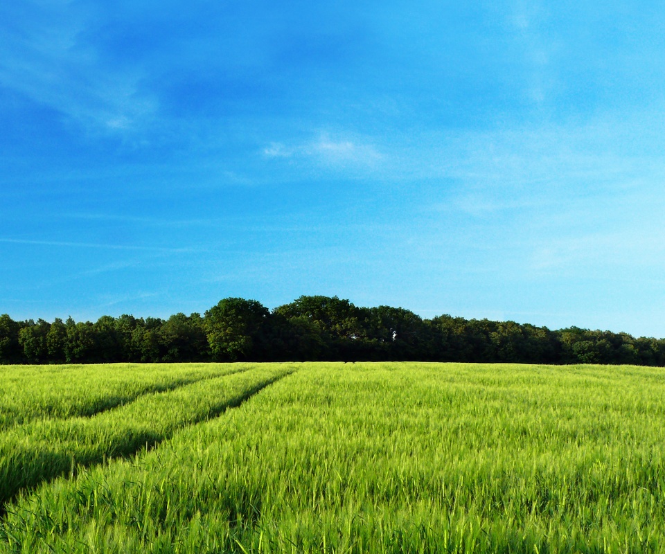 Следы колеи в поле обои