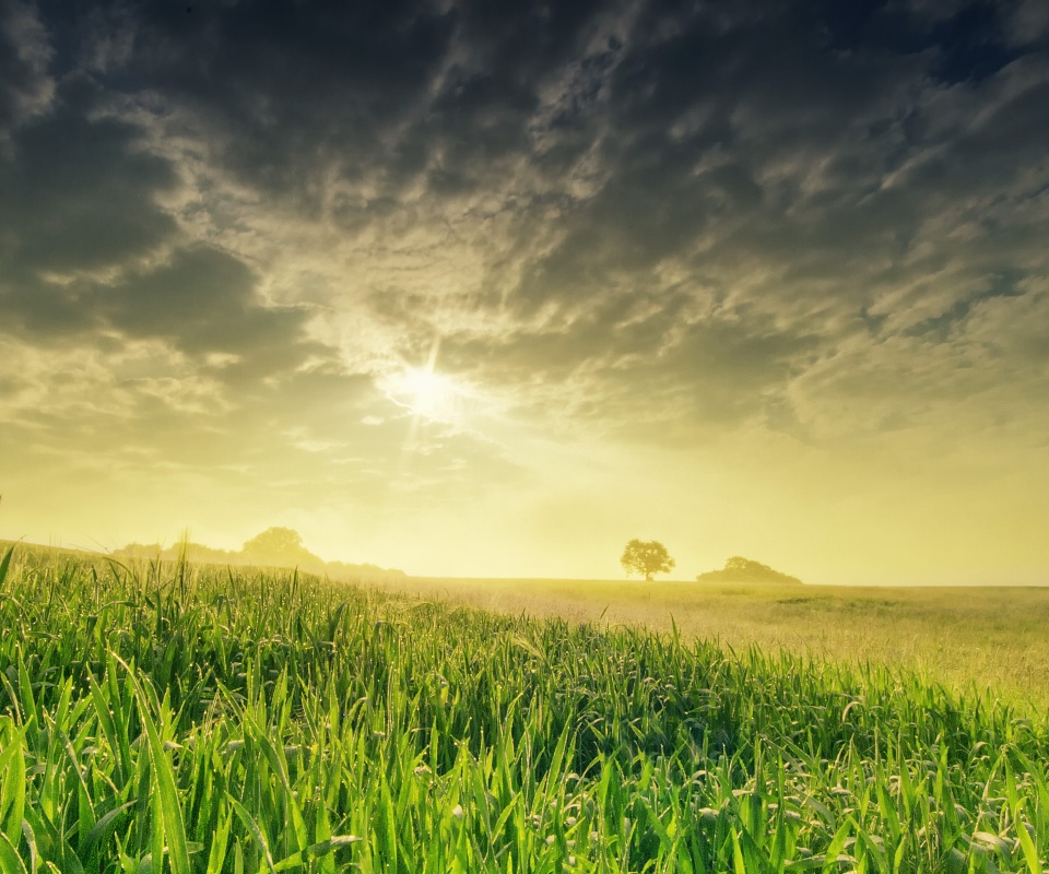 Безмятежность обои