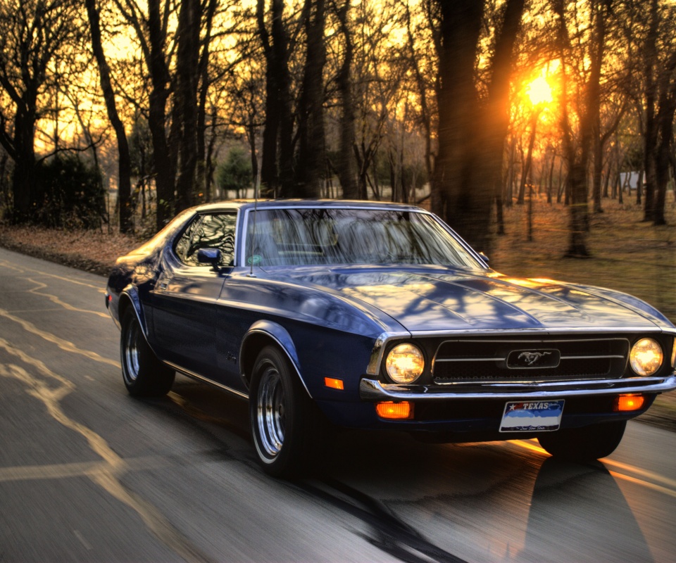 Мустанг обои