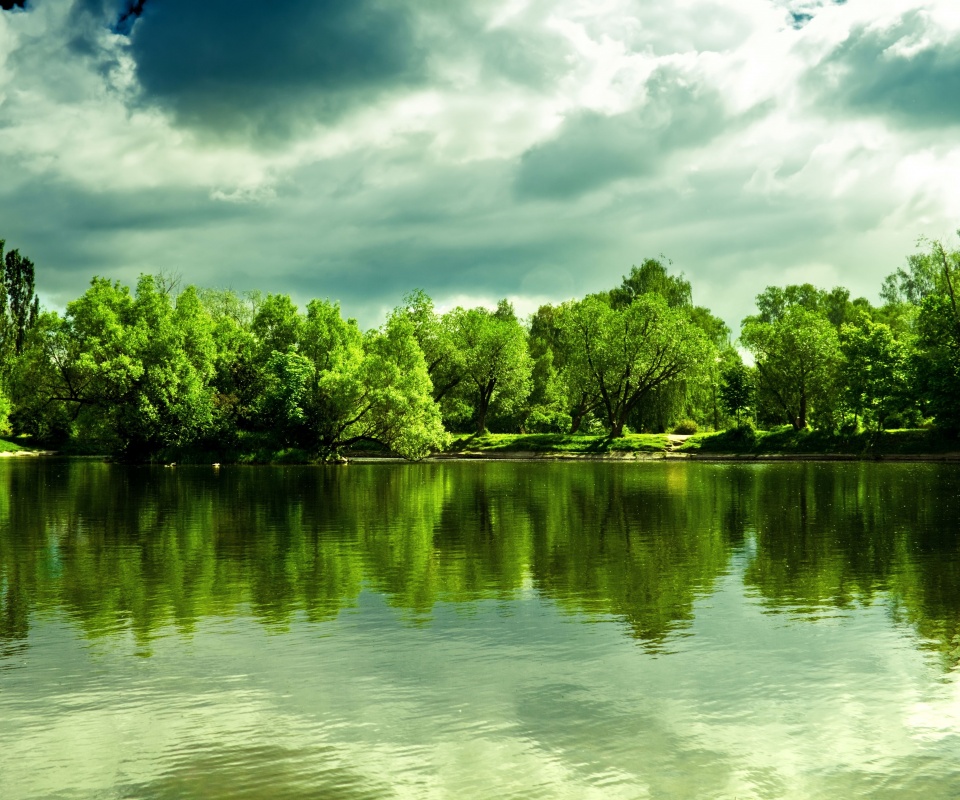 Деревья на берегу озера обои