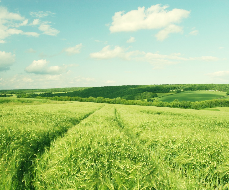 Бескрайние просторы обои