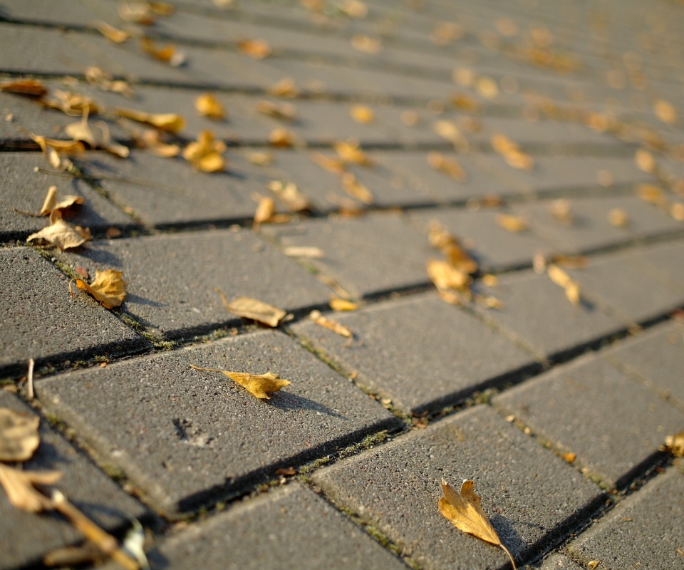 Тротуар обои