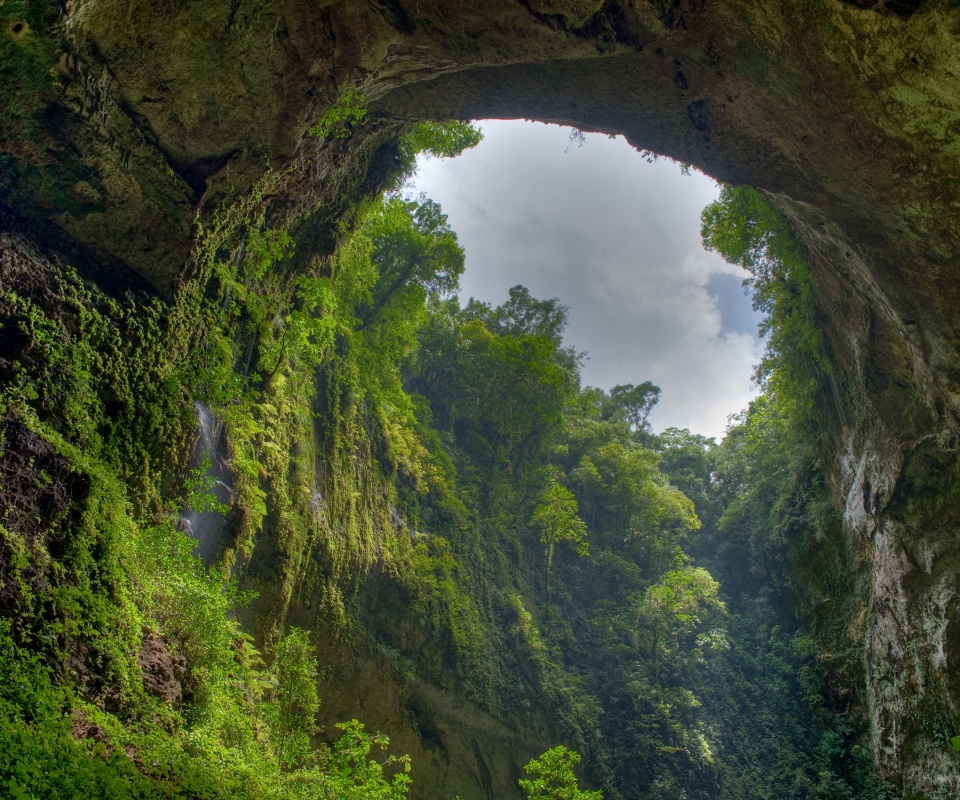 Заросшее ущелье обои
