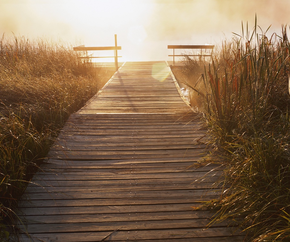 Выход к реке обои