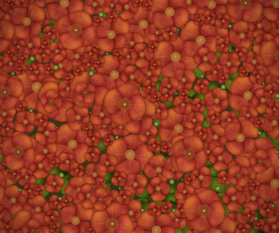 Рисунко с красными цветами обои