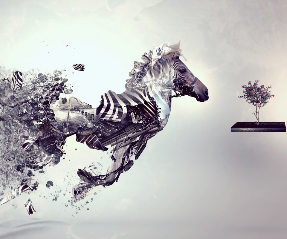 Зебра и бонсай обои