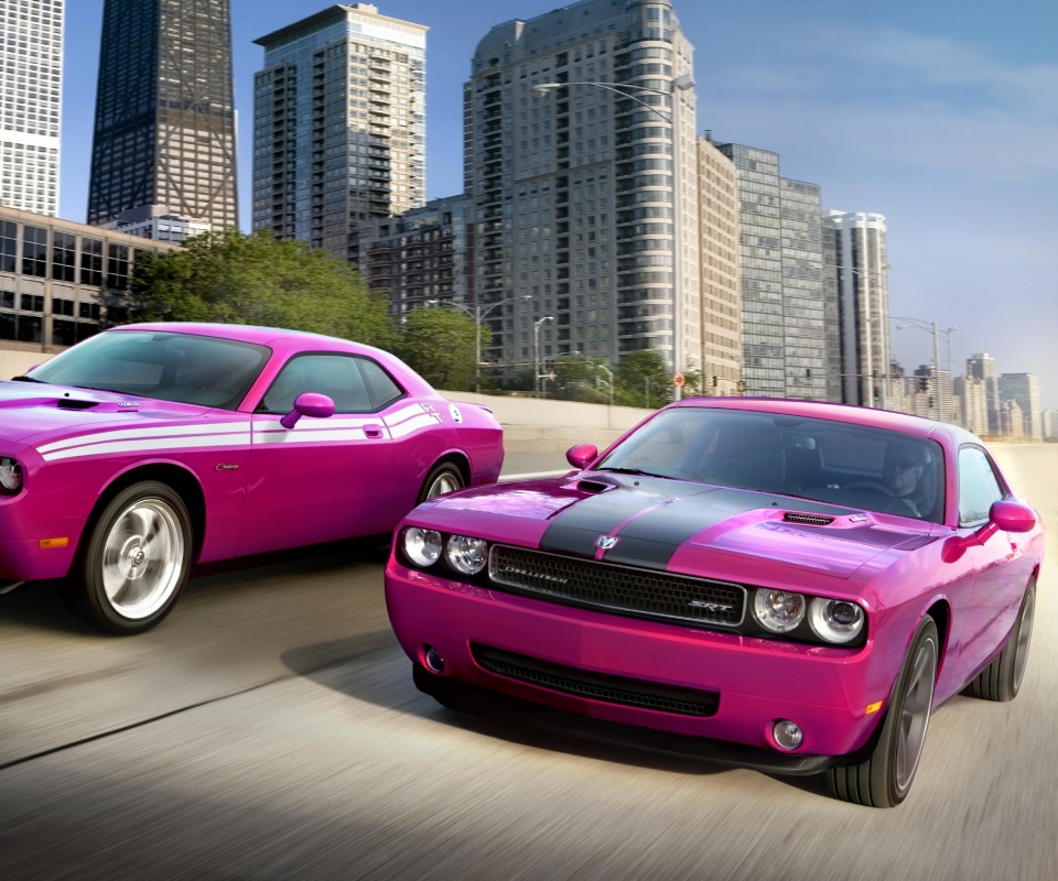 Два розовых мускулкара обои