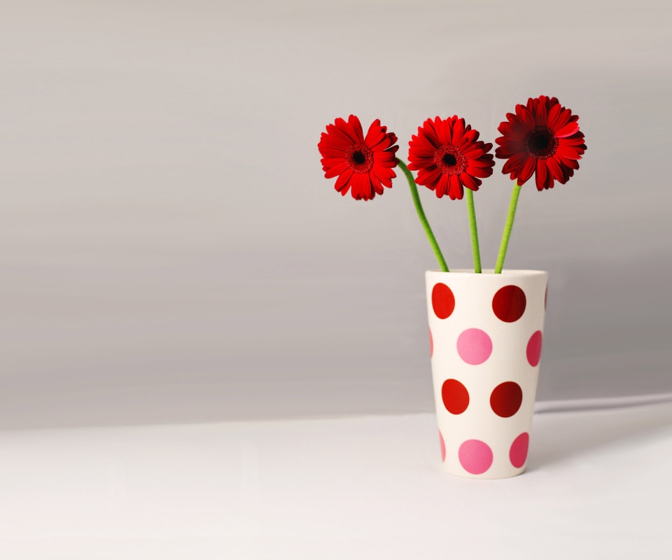 Вазочка с тремя красными герберами обои