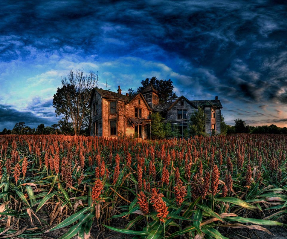 Заброшенный дом  обои