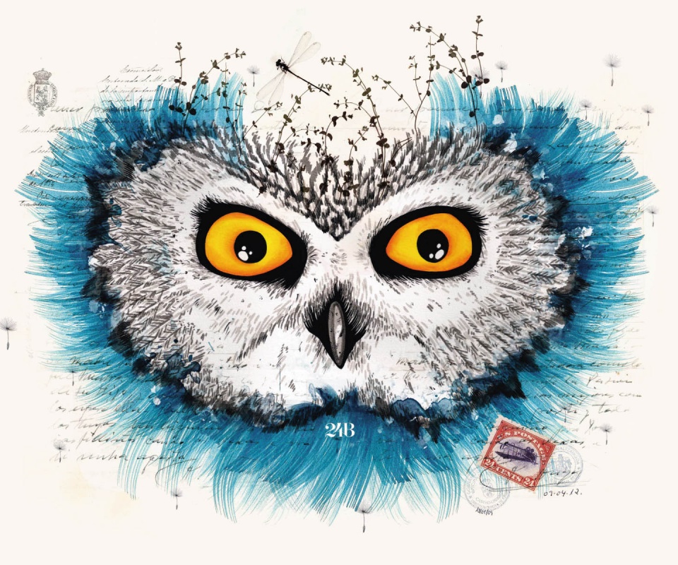 Обои сова для mac book обои