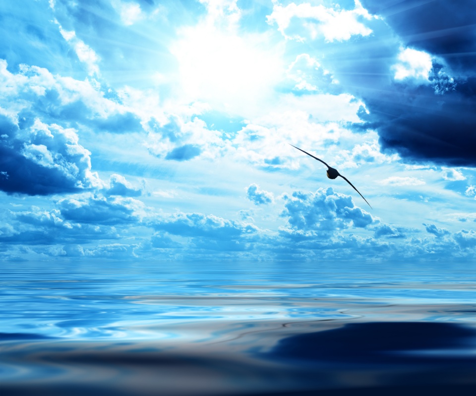 Лети как птица над волнами обои