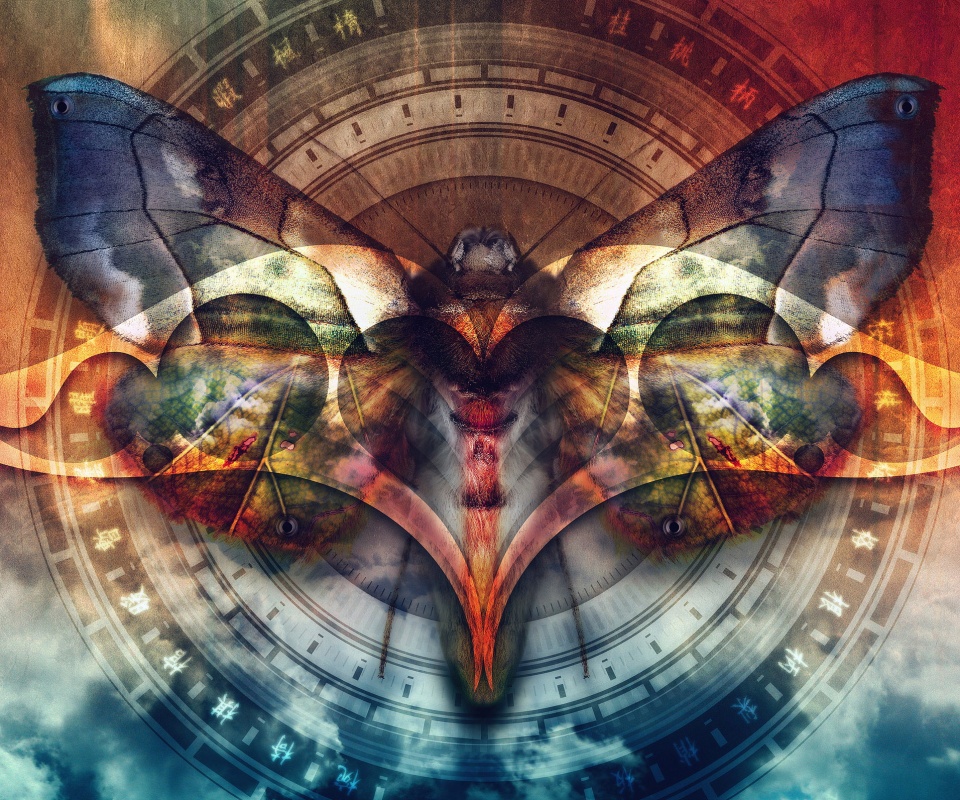 Красивая фэнтезийная бабочка обои