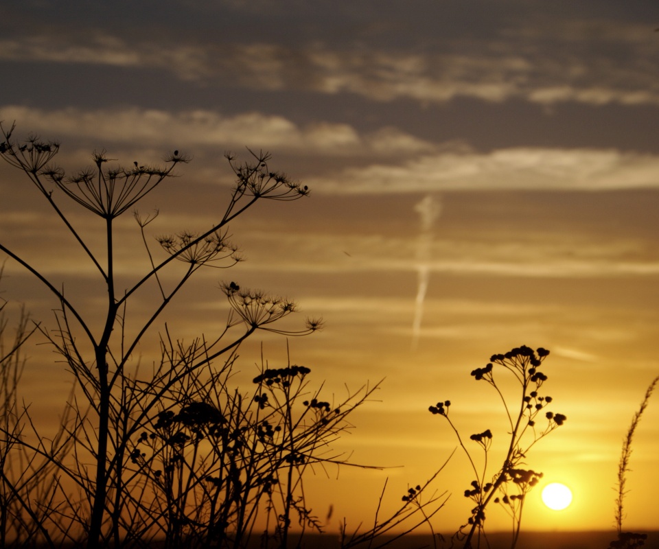 Степной закат обои