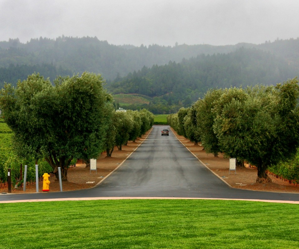 Сельский пейзаж обои