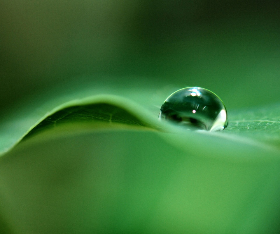 Фотография капли воды в макро обои