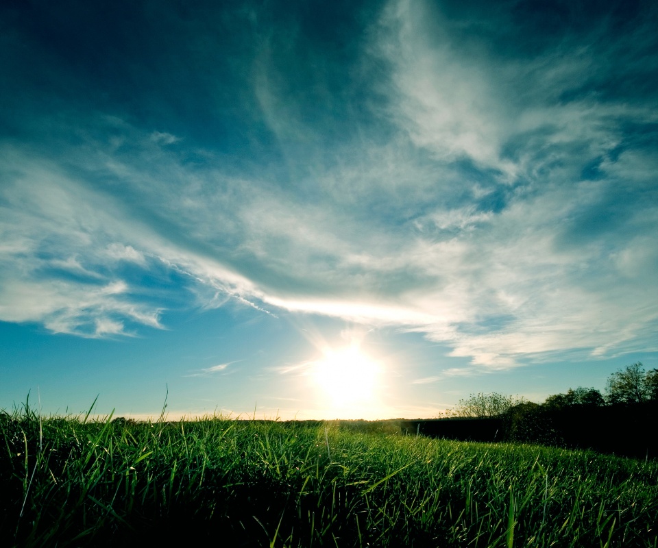 Травяной закат обои