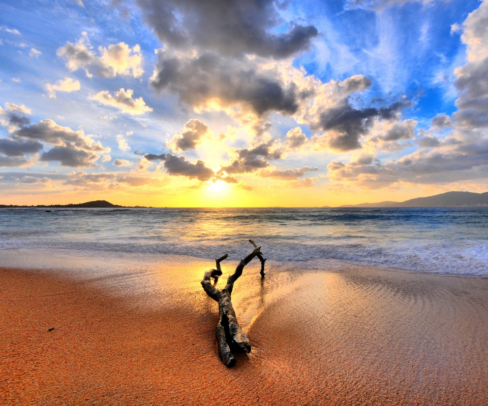 Коряга на пляже обои