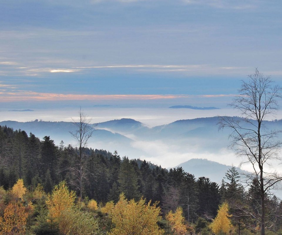 Холмы в тумане обои