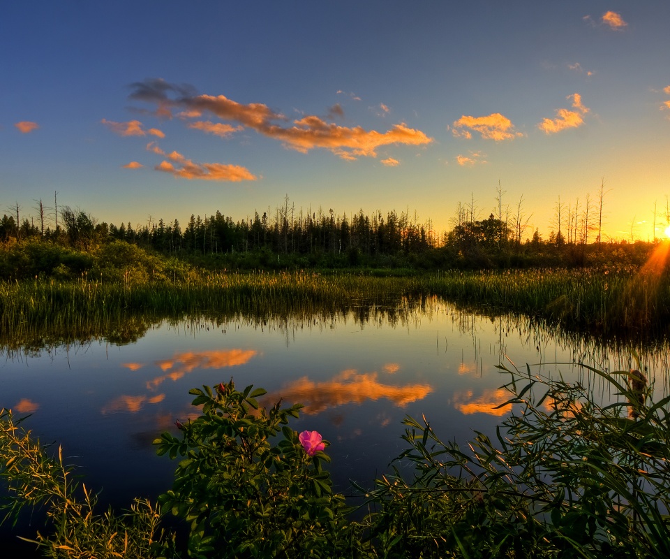 Вечерний закат обои