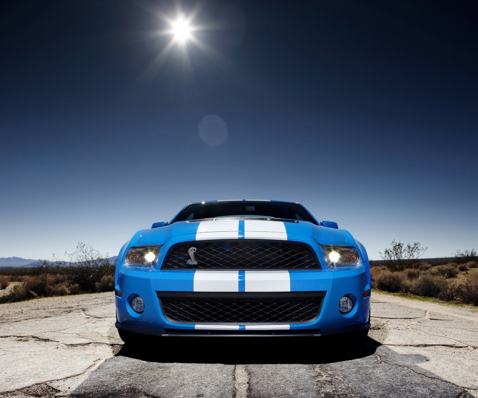 Форд Шелби обои