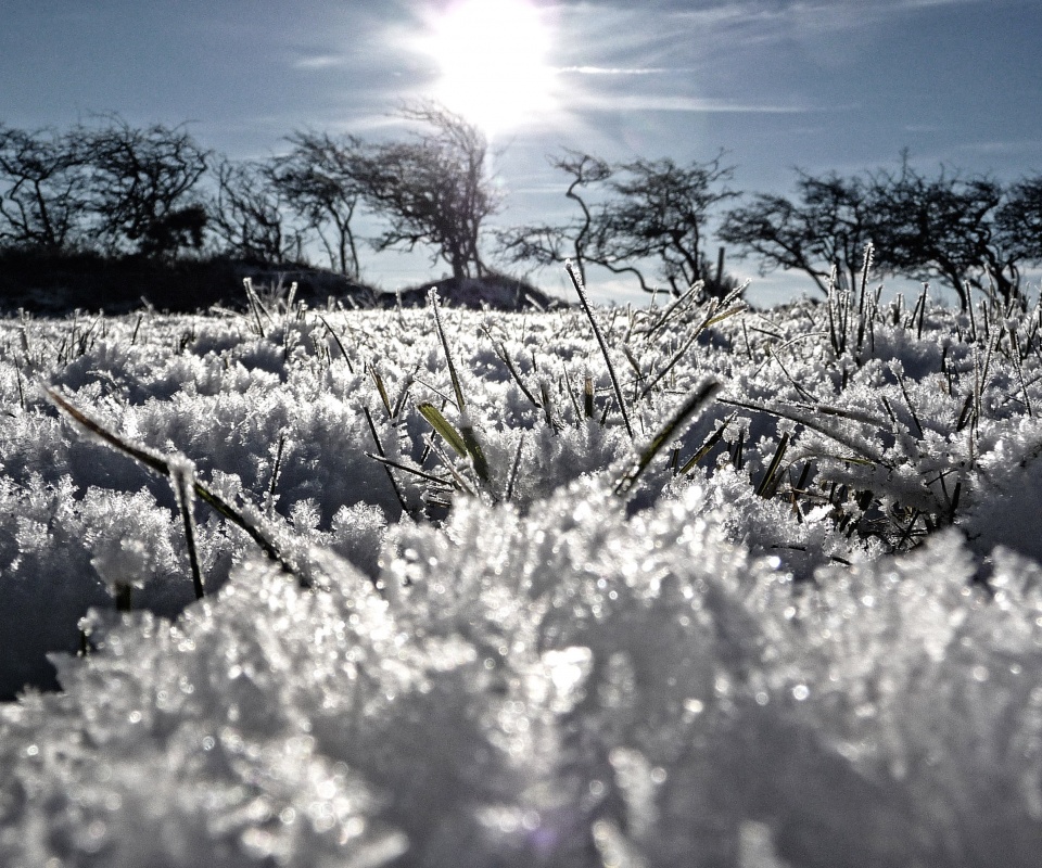Утренний мороз обои