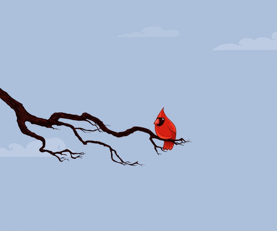 Красная птица на ветке обои